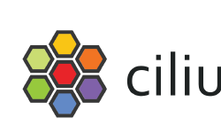 Featured image of post Securing AKS with Cilium: Layer 4 & 7 Network Policies in Action